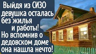 Выйдя из СИЗО девушка осталась без жилья и работы. Но вспомнив о дедовском доме, она нашла нечто...