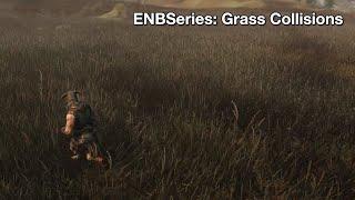 Skyrim Mod: ENBSeries Grass Collision