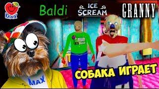 СМОТРИ!СОБАКА ИГРАЕТ:ГРЕННИ СТАЛА МОРОЖЕНЩИКОМ, БАЛДИ(GRANNY 2 vs ICE SCREAM vs BALDI)ВАЛЕРИШКА МАХ