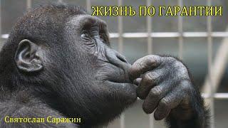 Жизнь без гарантий