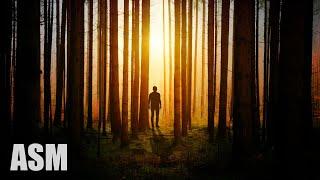 Cinematic Thriller - Documentary Background Music For Videos - by AShamaluevMusic