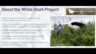 The White Stork Project