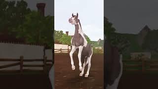  #старстейбл #StarStableOnline#старстейблонлайн#ссо #starstable #horse #sso#ssoedit #subscribe#врек