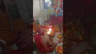 Vishwakarma Puja #shortsvideocat #bdittouch 