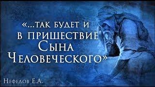 Нефедов Е.А. - "...так будет и в пришествие Сына Человеческого"