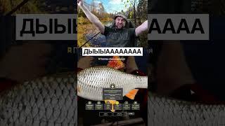 Трофейная плотва  Русская Рыбалка 4 #рыба #рыбалка #fishing #плотва