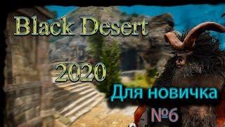 Гайд для новичка №6 в Black Desert 2020