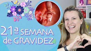 21st WEEK OF PREGNANCY | Video of Baby, Fetus and Belly Size | 2nd QUARTER OF PREGNANCY