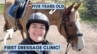 Dressage Lesson with Lewis Carrier on my young horse | Riding With Rhi