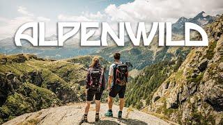 Alpenwild Welcome Video