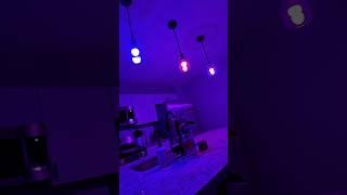 A19 Smart Light Bulbs with Alexa, Google Assistant and Smart Life