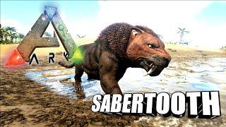 Taming A Sabertooth | Ark Survival Evolved | The Island