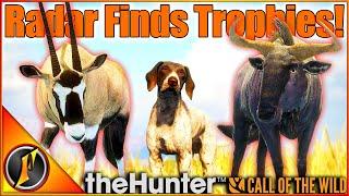 The BEST CASE for Pointers! | Finding a Diamond AND Rare on Vurhonga! | Call of the Wild