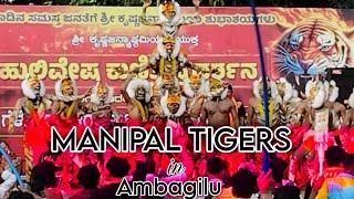 || Manipal Tigers pili Dance in Udupi Ambagilu 2024 || #Costalvlogs