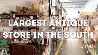 LARGEST *ANTIQUE* STORE IN THE SOUTH | ANTIQUE WITH ME | I'M OVERWHELMED |