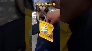 Pedigree Dog Biscrok Biscuits️