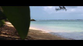 iPhone X 4K Cinematic Video Footage (Kauai)