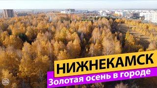 Нижнекамск. Золотая осень