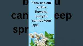 Flower quote in English