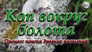 Коп вокруг болота | Процесс поиска древних поселений                      #коп #путешествия #находки