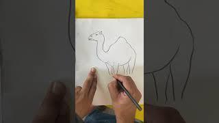 Camel pencil drawing easy for kids