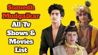 Sumedh Mudgalkar All Tv Serials List || Full Filmography || Indian Actor