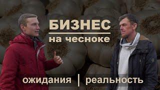 Выращивание чеснока как бизнес: ожидания и реальность | Чесночный бизнес в деревне