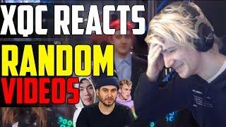 xQc REACTS TO RANDOM VIDEOS #4 (H3H3, Ricegum, curb your meme) | xQcOW