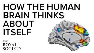 How the human brain thinks about itself | The Royal Society