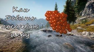 Как добыть лососевую икру в Skyrim(Лучший игридиент для алхимика