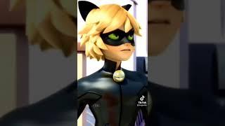 Cat Noir
