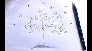 How to draw tree without leaves ||Tutorial for beginner||Pencilsketch