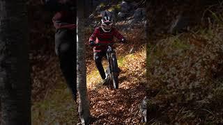AUTUNM IS PARADISE TO RIDE BIKE  SO SICK 