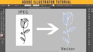 How To Convert JPEG into Vector | Adobe Illustrator Tutorial