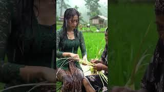 Tropical Rain Sounds in the Countryside | Make Sleep Sound and Calm #rainsounds #rain #Nature