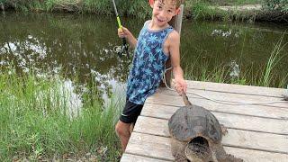 Snapping Turtle Catch, Clean and Cook