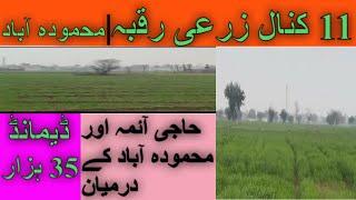 11 Kanal Agricultural Land For Sale In JhelumLand For Sale In MehmoodabadCheap Land For Sale