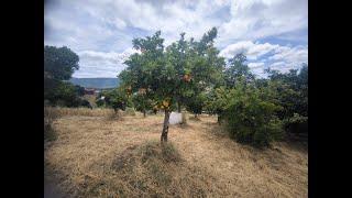 video 3 exploring the land in Vale de Mua