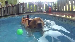 Oncetime Studio : Leica Swimming for the first time