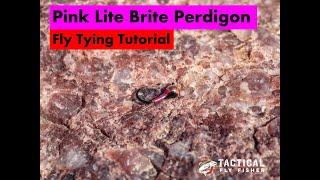 Pink Lite Brite Perdigon Fly Tying Tutorial