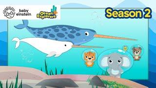 Let's Explore: Patterns with Narwhals! | Ocean Explorers Season 2 | Baby Einstein | Education Show