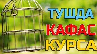 Тушда Кафас курса - Tushda Qafas ko'rsa