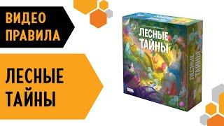 Лесные тайны — Настольная игра. #Видеоправила 