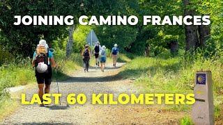 Camino de Santiago 2023: The Last 60KM | Joining Camino Frances | Exploring Arzua and Arca