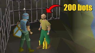 This Botter Outsmarted Jagex's Wilderness Update