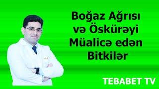 Boğaz Ağrısı, reflüks və  Öskürəyi Müalicə edən Bitkilər