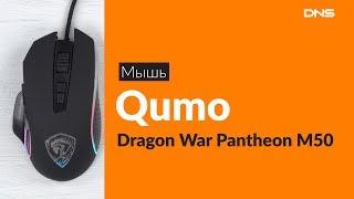 Распаковка мыши Qumo Dragon War Pantheon M50 / Unboxing Qumo Dragon War Pantheon M50