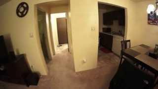 Rokinon 8mm Ultra-Wide Fisheye Lens