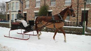 A Horse-Drawn Sleigh Ride