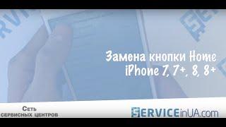 Замена кнопки home iPhone 7, 7plus, 8, 8 Plus/ home buttom repair